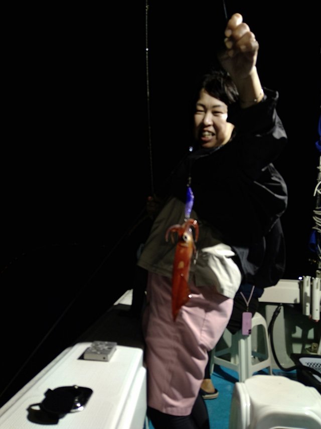 イカ(ケンサキイカ)