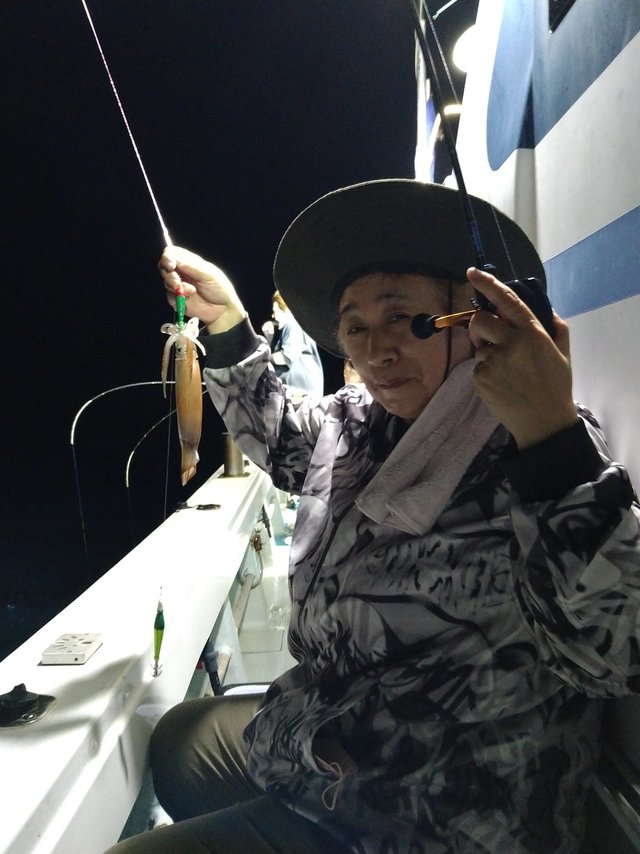 イカ(ケンサキイカ)