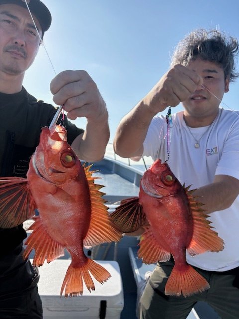 キントキ(チカメキントキ)