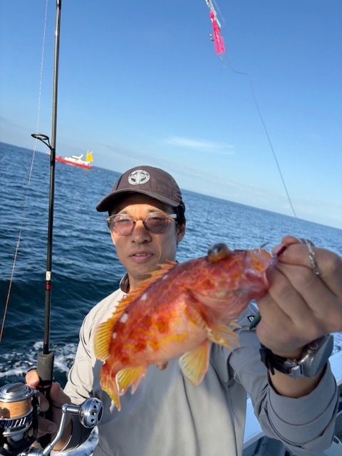 オキメバル(ウスメバル)