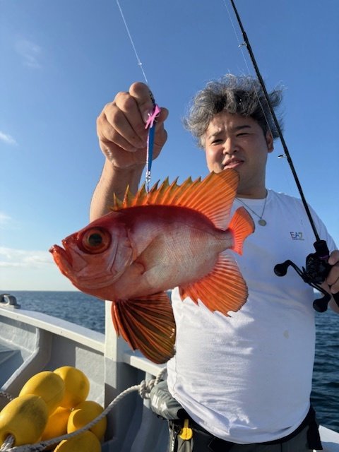 キントキ(チカメキントキ)