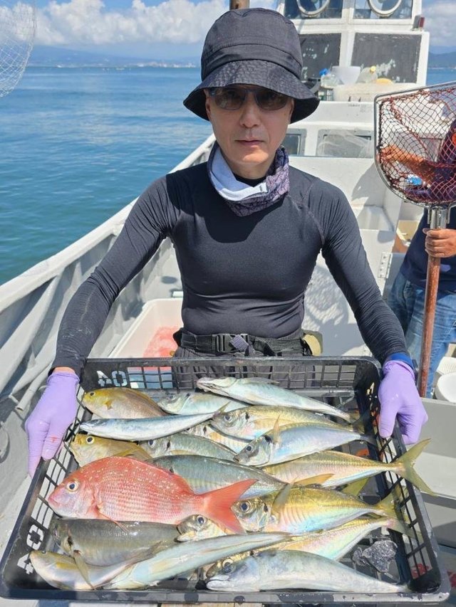 マダイ・イナダ(ブリ)・イサキ・サバ(ゴマサバ)