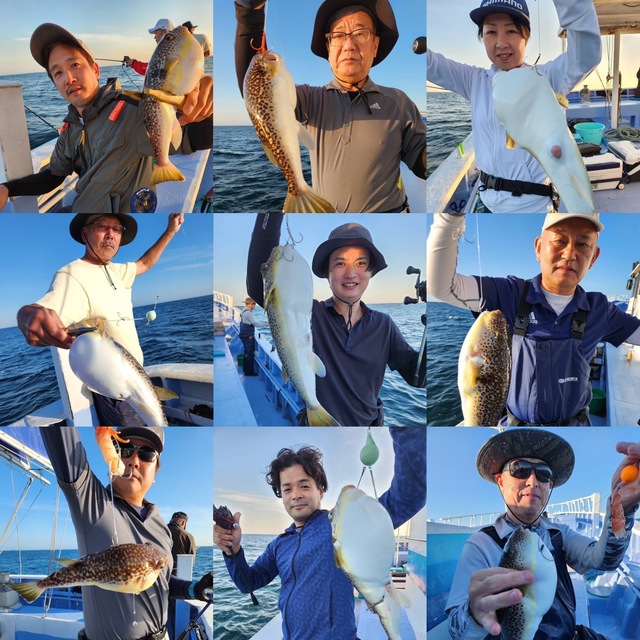 ショウサイフグ