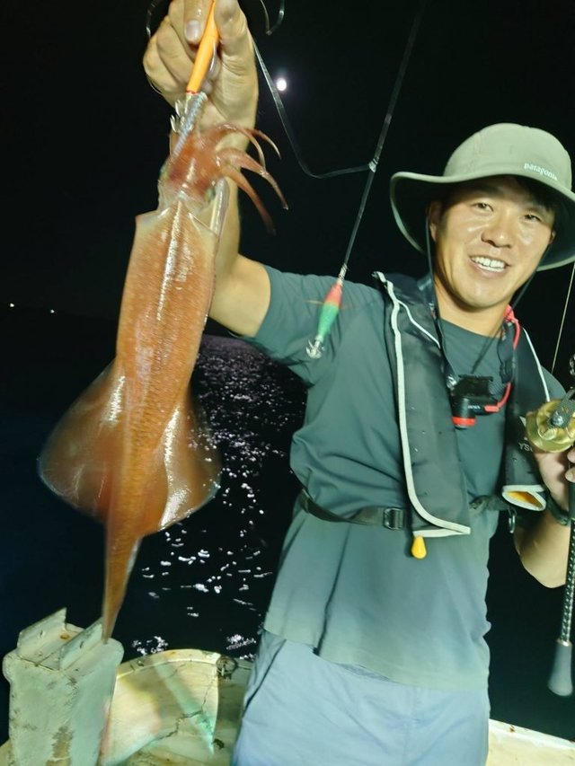 シロイカ(ケンサキイカ)