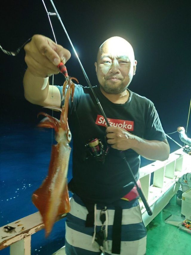 シロイカ(ケンサキイカ)