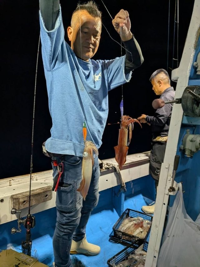 シロイカ(ケンサキイカ)