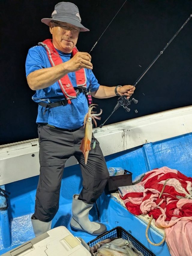 シロイカ(ケンサキイカ)