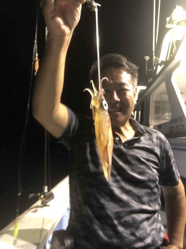 マルイカ(ケンサキイカ)