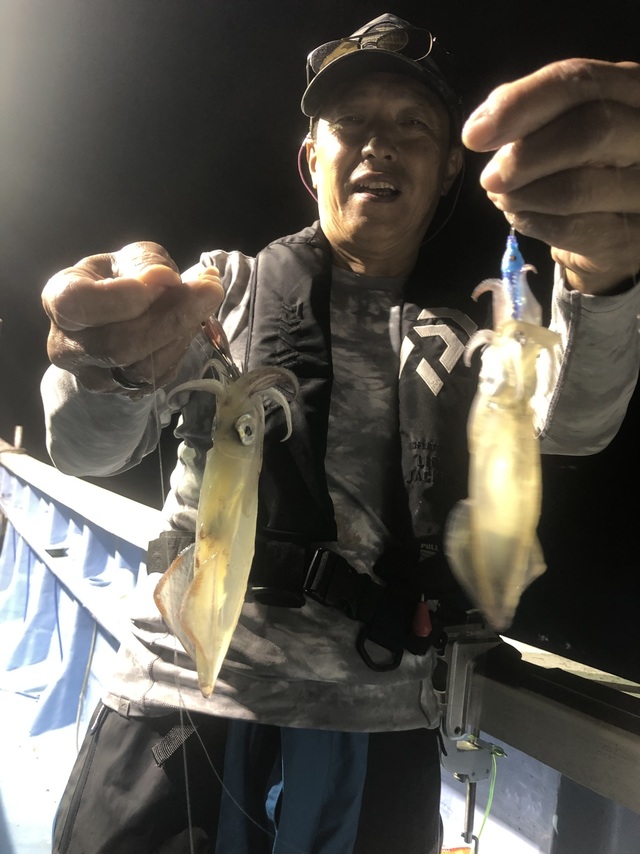 マルイカ(ケンサキイカ)