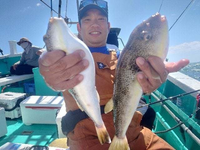 ショウサイフグ