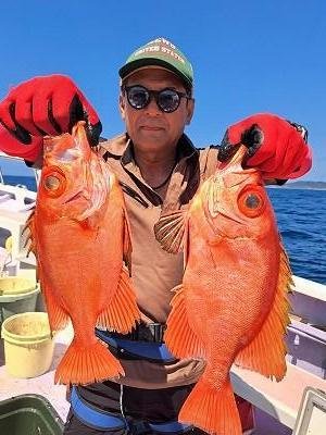 キントキ(チカメキントキ)