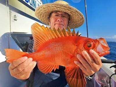 キントキ(チカメキントキ)