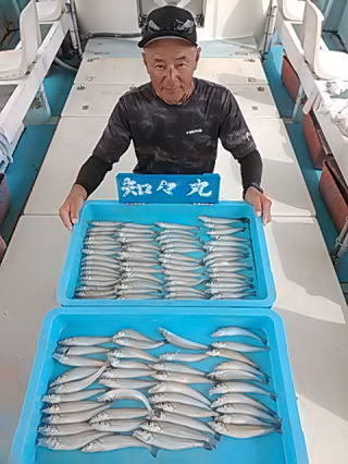 キス(シロギス)