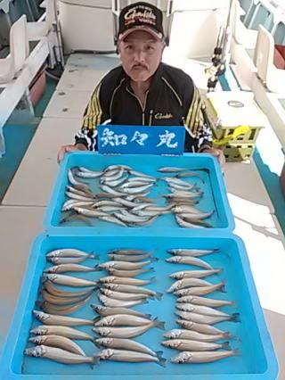 キス(シロギス)