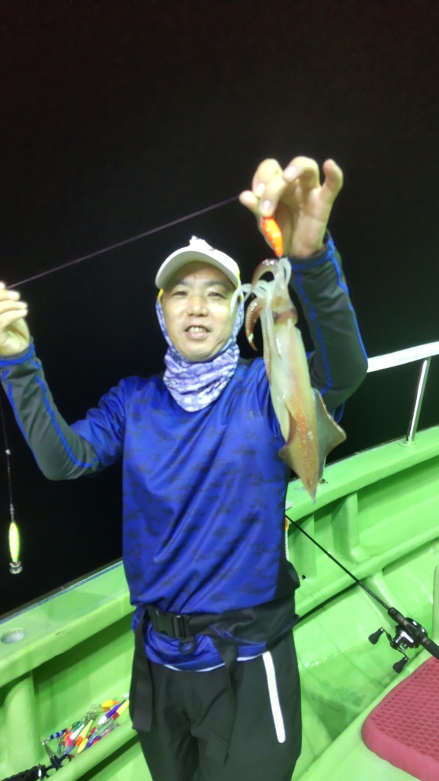 マルイカ(ケンサキイカ)