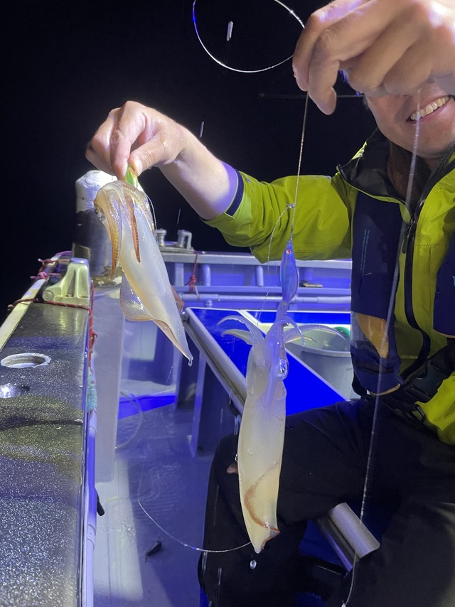 マルイカ(ケンサキイカ)