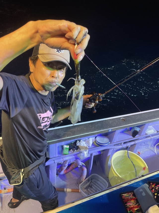 マルイカ(ケンサキイカ)