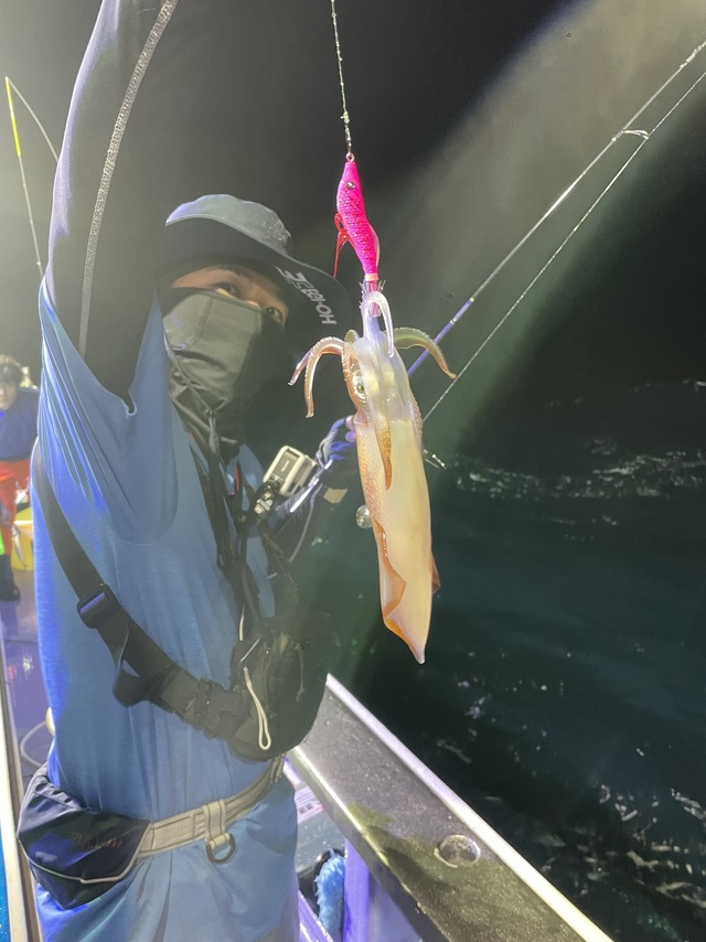 マルイカ(ケンサキイカ)