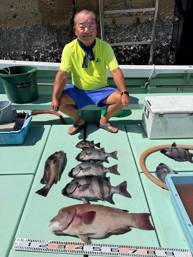 イシダイ・イサキ・コブダイ