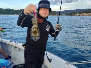 アオリ(アオリイカ)