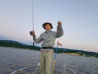 アオリ(アオリイカ)