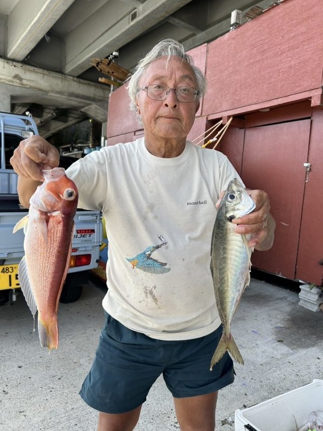 アジ(マアジ)・アマダイ(アカアマダイ)