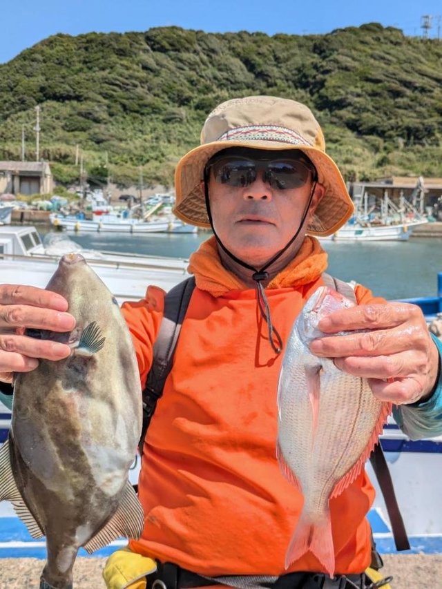 ハナダイ(チダイ)・ウマズラハギ(ウマヅラハギ)