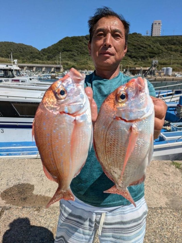 ハナダイ(チダイ)