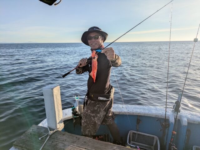 マイカ(ケンサキイカ)