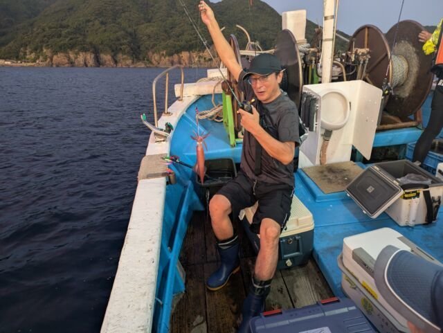 マイカ(ケンサキイカ)