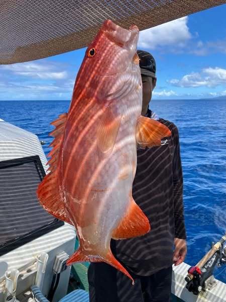 アカジン(スジアラ)