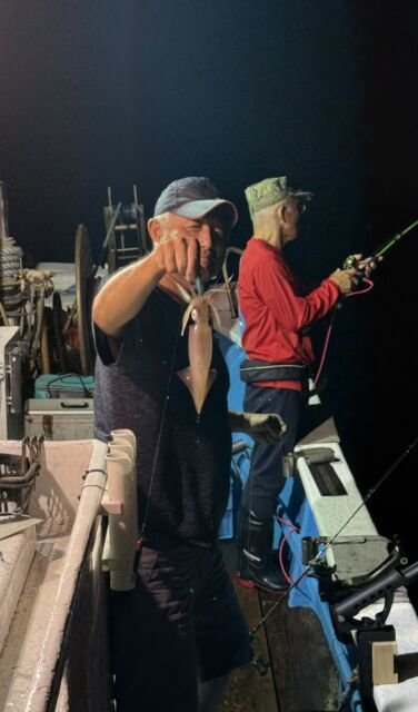 マイカ(ケンサキイカ)