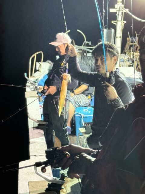 マイカ(ケンサキイカ)