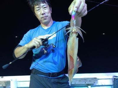 マイカ(ケンサキイカ)