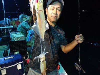 マイカ(ケンサキイカ)