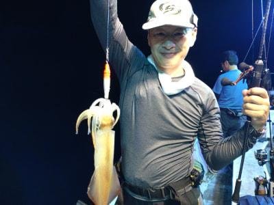 マイカ(ケンサキイカ)