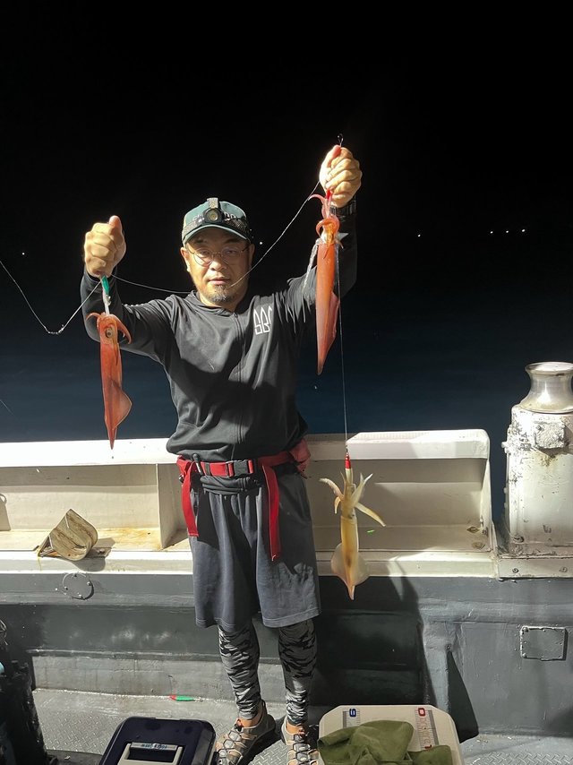 イカ(ケンサキイカ)