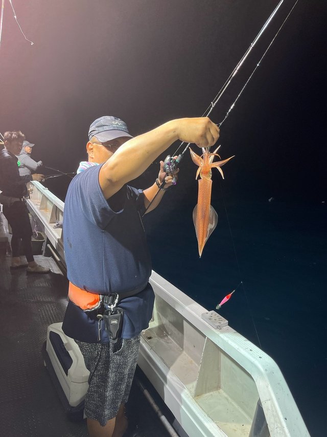 イカ(ケンサキイカ)