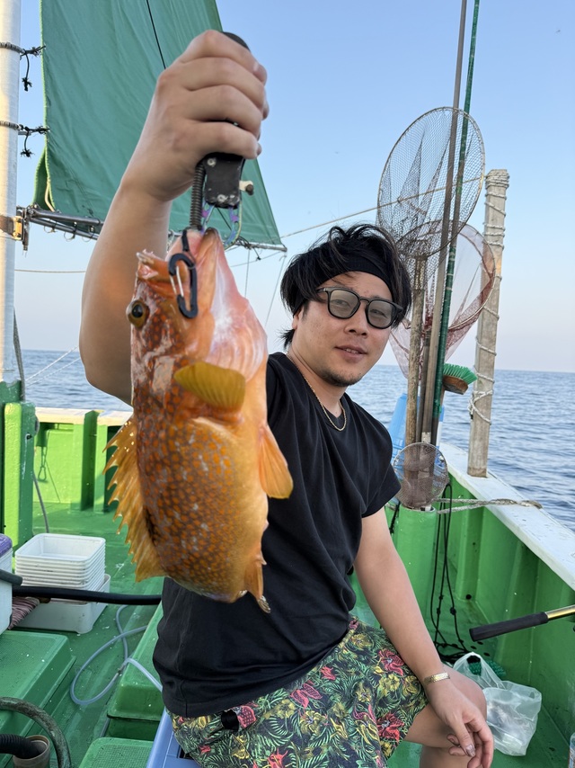 アコウ(キジハタ)