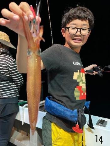 マイカ(ケンサキイカ)