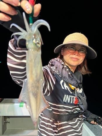 マイカ(ケンサキイカ)