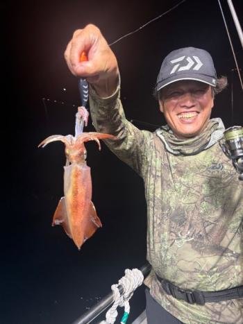 マイカ(ケンサキイカ)