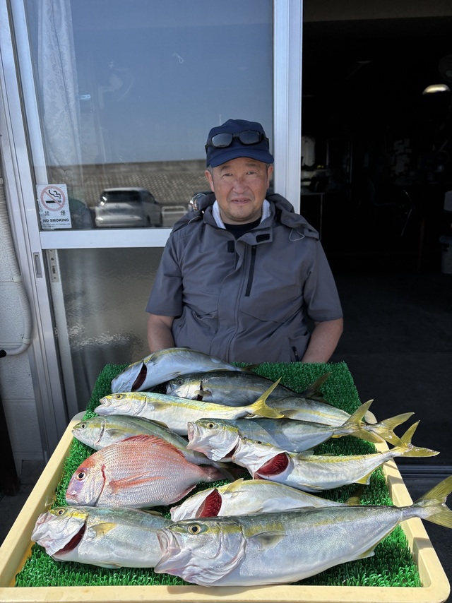 イナダ(ブリ)・ワラサ(ブリ)