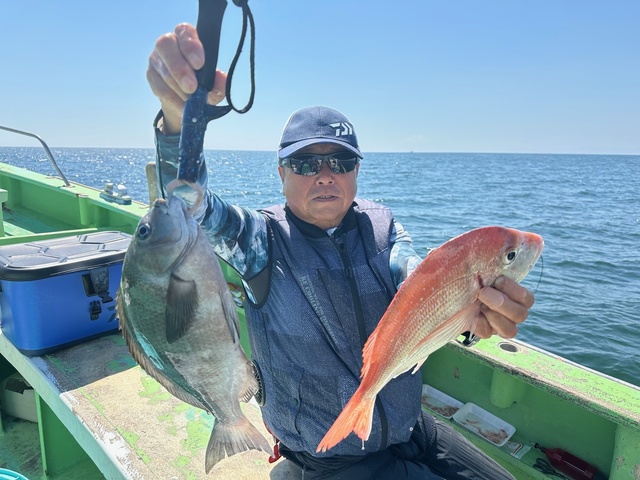 ハナダイ(チダイ)・メジナ