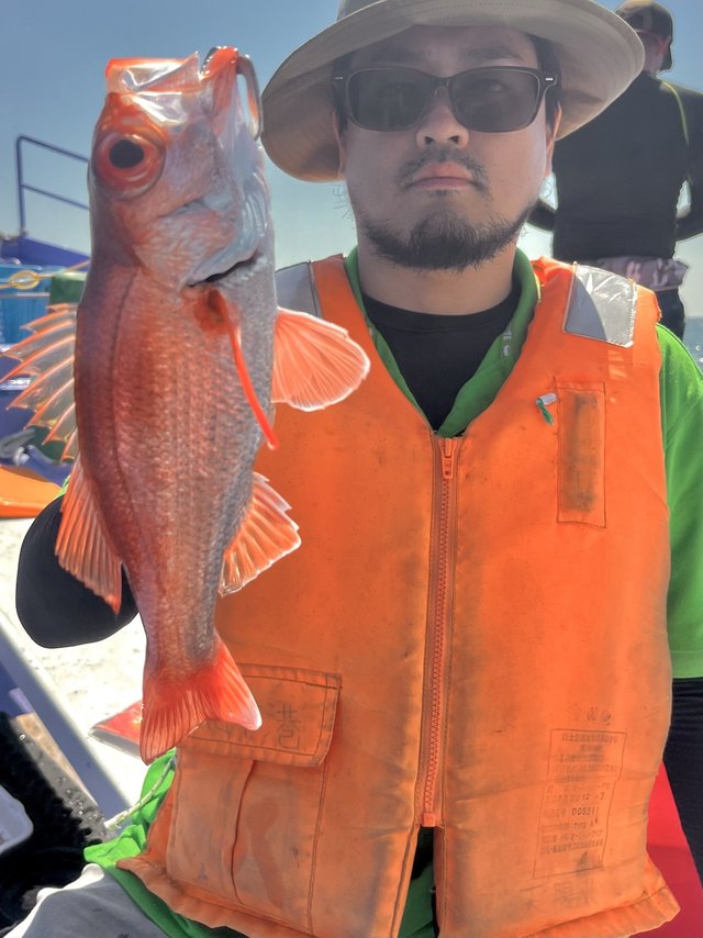 アマダイ(アカアマダイ)