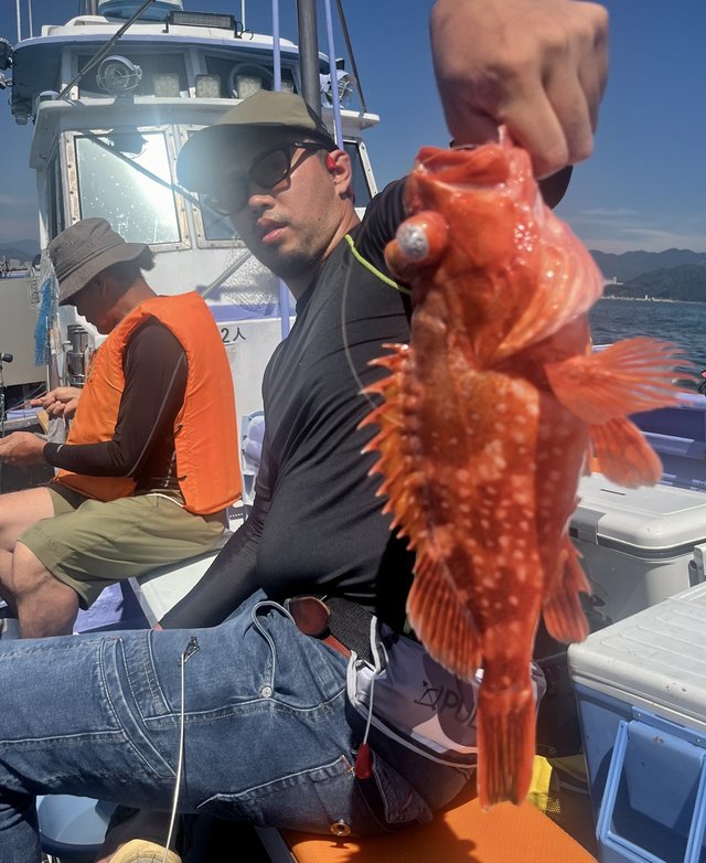 ウッカリカサゴ