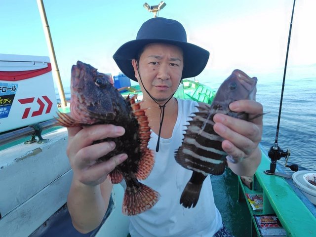 カサゴ・ハタ(マハタ)