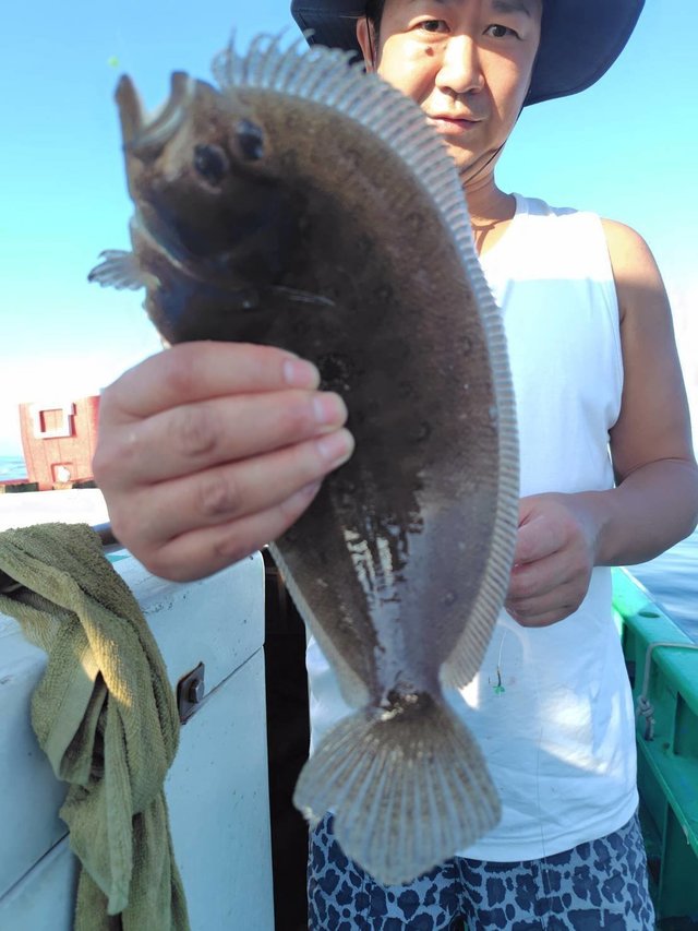 タマガンゾウビラメ