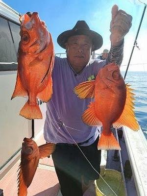 キントキ(チカメキントキ)