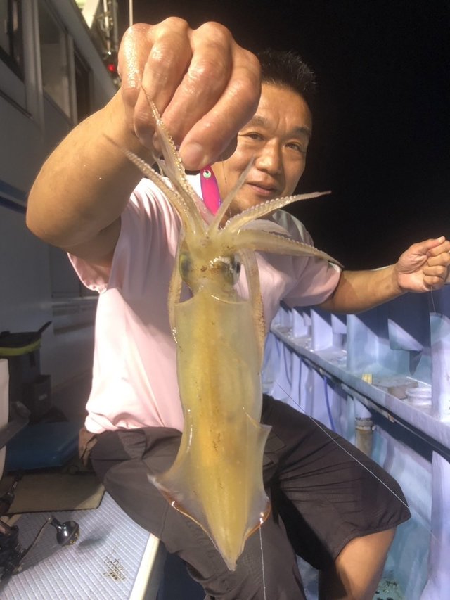 マルイカ(ケンサキイカ)